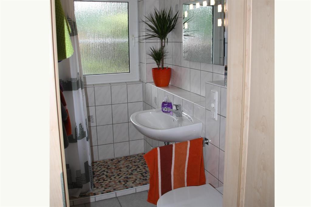 Dogge, Ferienwohnung Celle Ngoại thất bức ảnh